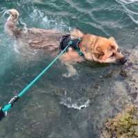Photo of Maggie 