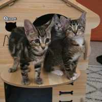 Photo of 💚 Marshall 💚