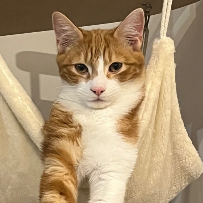 Photo of Jasper