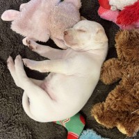 Photo of Deliah