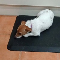 Photo of Meila