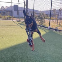 Photo of Matty Imp 1507