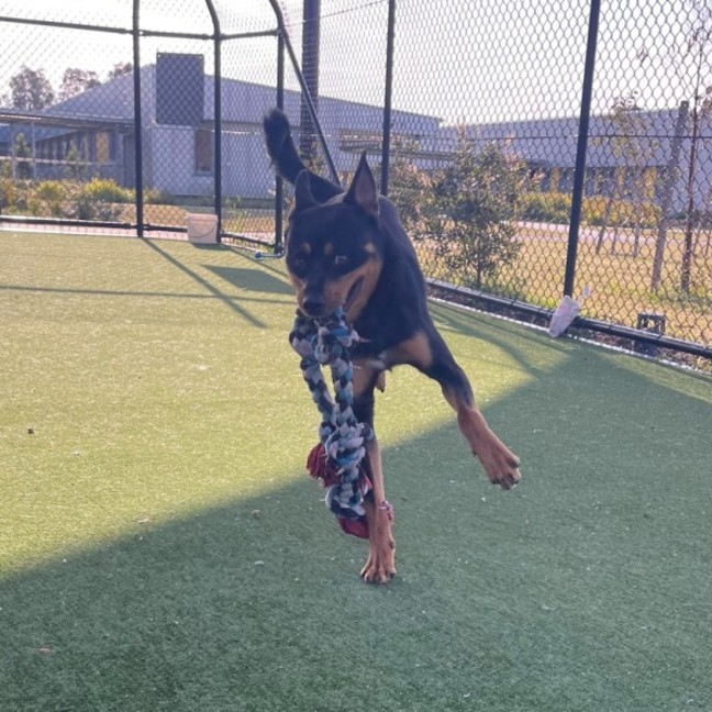 Photo of Matty Imp 1507