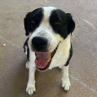 Photo of Tilly