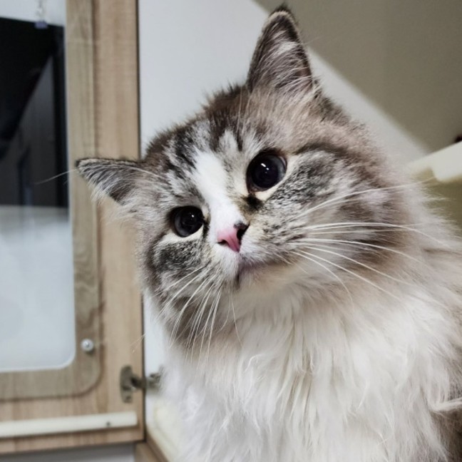 Photo of 🥂 Kiki 6409 🥂