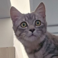 Photo of C1476 Ishka