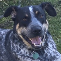 Photo of Paddy