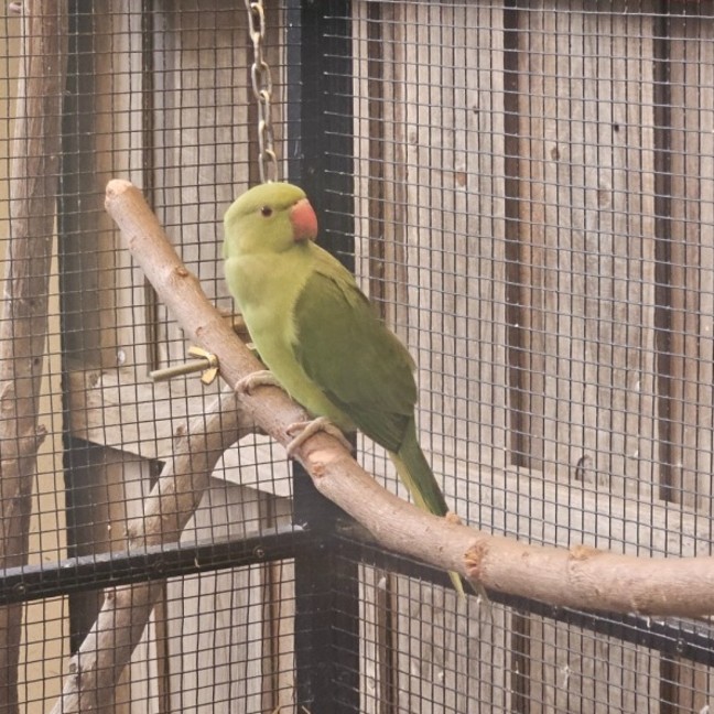 Photo of Sussy