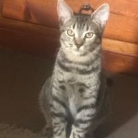 Photo of Matey Mate