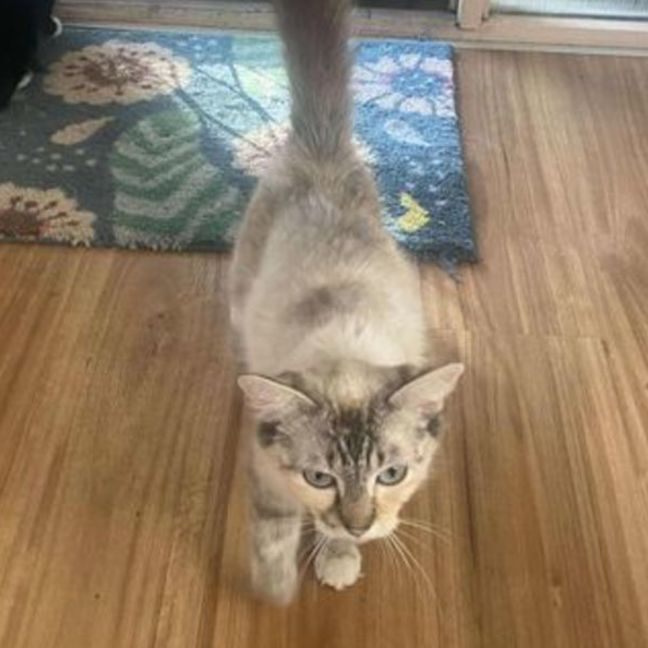 Photo of Dora