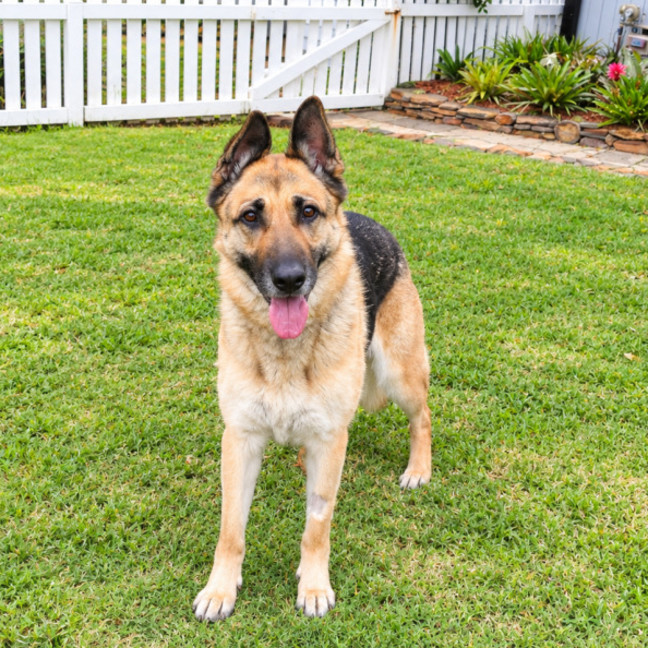 Photo of Bella