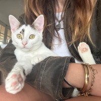Photo of Smokey