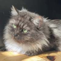 Photo of Mila