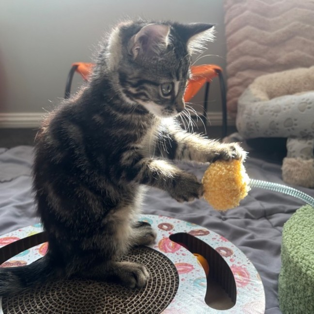 Photo of Horizon Aka "Have A Chat"