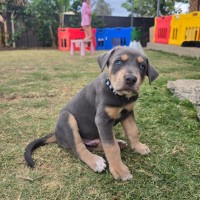 Photo of Bentley