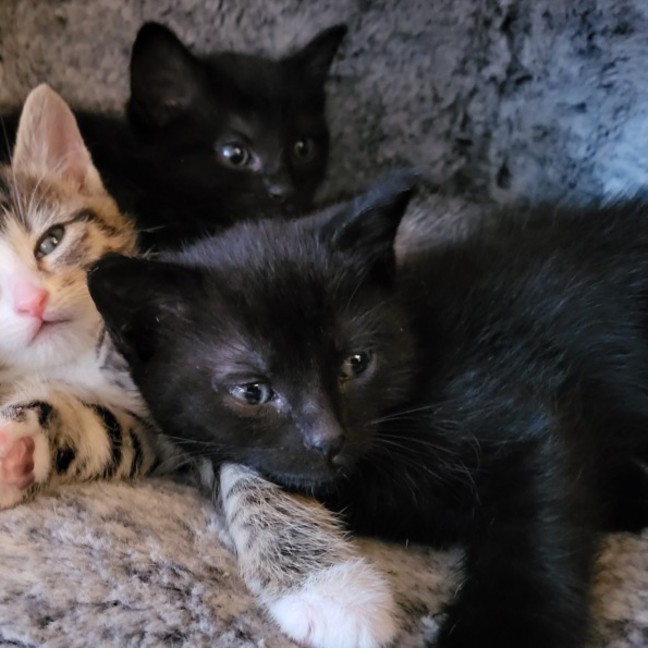 Photo of Teila 🌺🌺