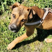 Photo of Barnie   Swarley 