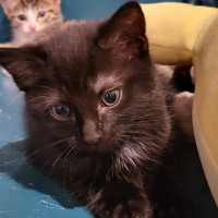 Photo of Teila 🌺🌺