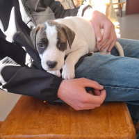 Photo of Emmylou