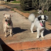 Photo of Betsy & Nigel