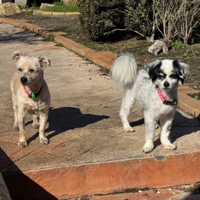 Photo of Betsy & Nigel