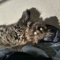 Photo of 😝 Mushie 😝