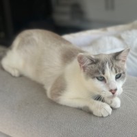 Photo of Ophelia