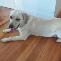 Photo of Lucia (Lucy)