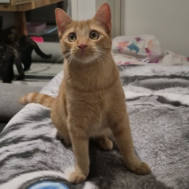 Photo of Twistie