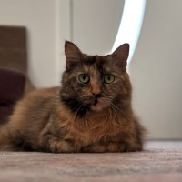 Photo of Agatha