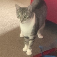 Photo of Ellie