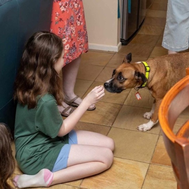 Photo of Hungry Hungry Hippo