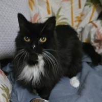 Photo of Boots (Located In Wantirna South)