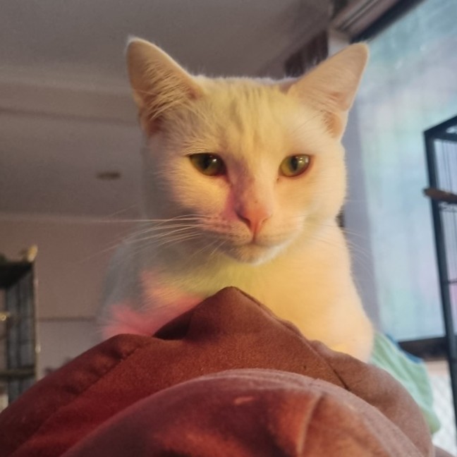 Photo of Finnick 💙