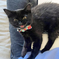 Photo of 💨Alcatraz💨