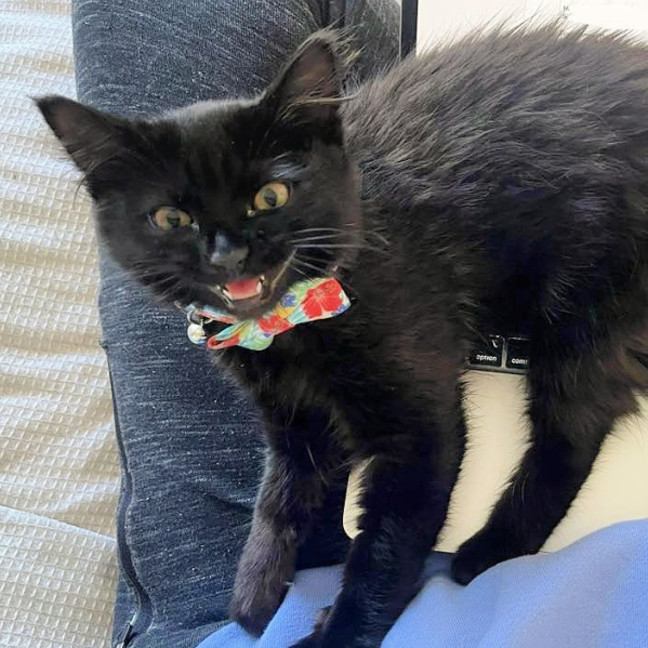 Photo of 💨Alcatraz💨