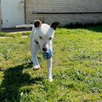 Photo of Sam