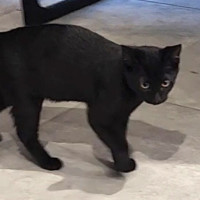 Photo of Hattie
