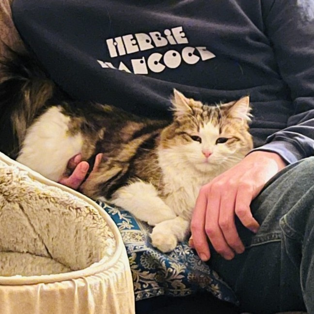 Photo of Paddington Ii