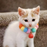 Photo of 💙 Orlando 💙