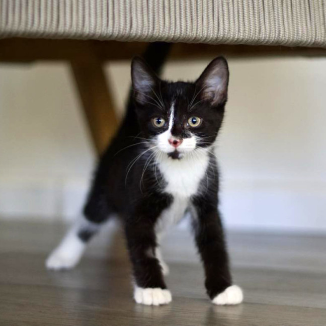 Photo of 💚 Louie 💚