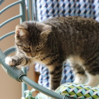 Photo of 💖Sage💖