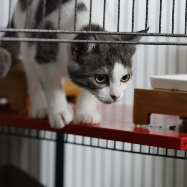 Photo of  Ranger 📣