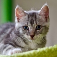 Photo of 🥜 Peanut Butter 🥜