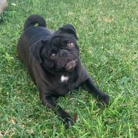 Photo of Lexi & Jay Jay