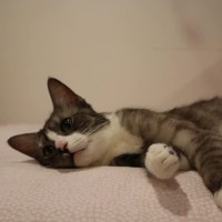 Photo of Minnie