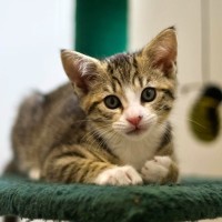 Photo of 😎 Simon 😎