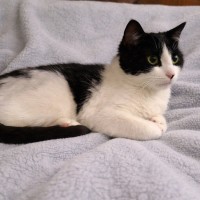 Photo of 🤍  Hannah Banana ❤︎