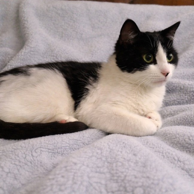 Photo of 🤍  Hannah Banana ❤︎