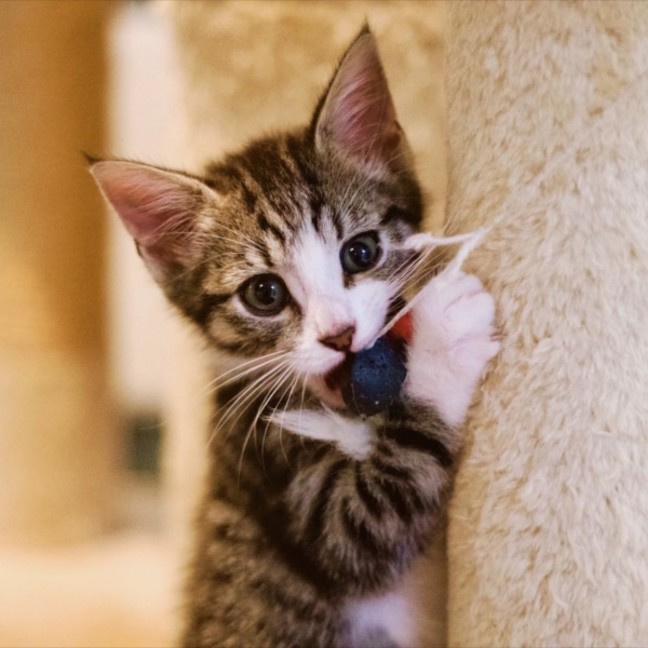 Photo of ☀️ Somersby ☀️